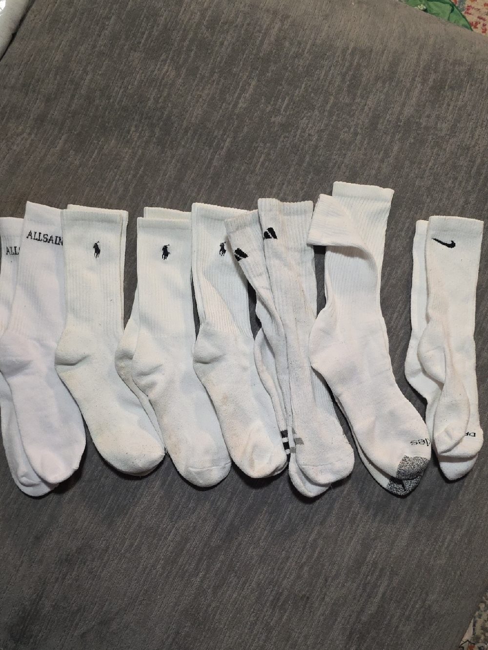 Socks Sz L 7 Prs
